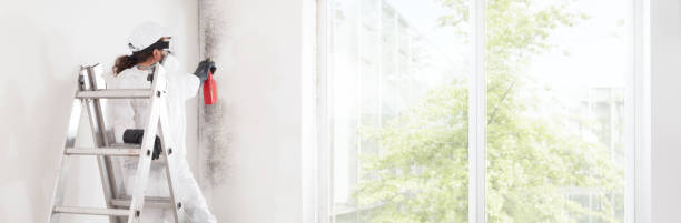 Mold Remediation for Vacation Homes in Avondale, LA